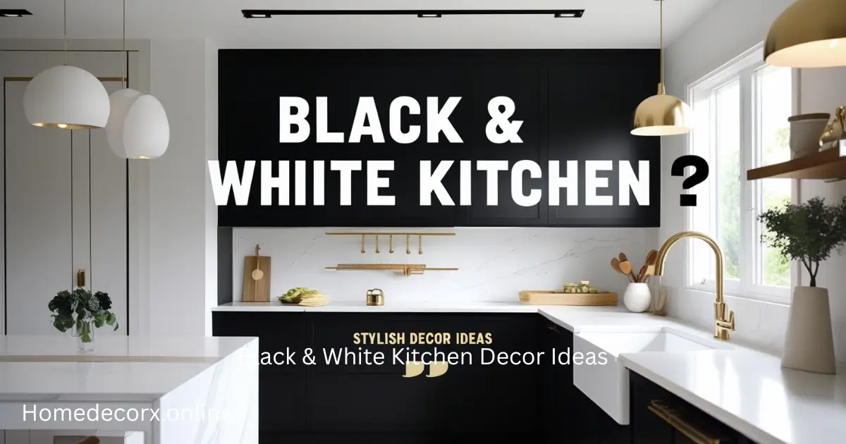 Black & White Kitchen Decor Ideas